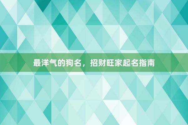 最洋气的狗名，招财旺家起名指南