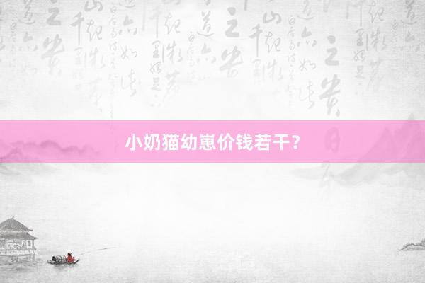 小奶猫幼崽价钱若干？